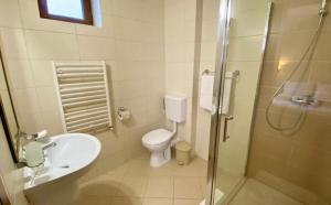 乔阿久拜Hotel Termal的浴室配有卫生间、盥洗盆和淋浴。