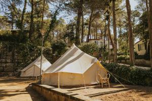 罗列特海岸Camping Santa Elena的两个帐篷位于庭院内