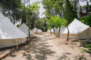 罗列特海岸Camping Santa Elena的土路中间的一排帐篷