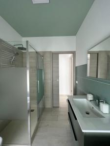 佩德蒙特Maison Merci的一间带水槽和淋浴的浴室