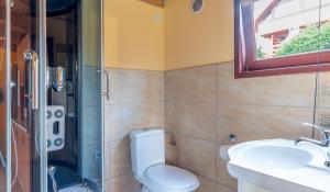 波拉齐克BUENA VISTA POLAŃCZYK domki z klimatyzacją 506 - 289 - 019的浴室配有卫生间、盥洗盆和淋浴。