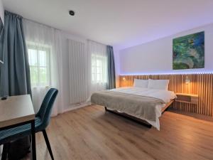 布拉索夫RA House的卧室配有一张床、一张书桌和窗户。