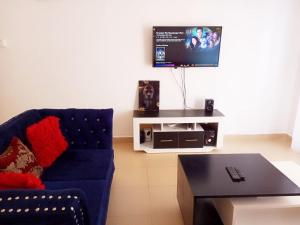 姆特瓦帕Homestay Luxurious apartments with swimming pool的客厅配有蓝色的沙发和电视