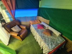 圣地亚哥-杜卡森Casa Rodrigues的帐篷内配有沙发和椅子的房间