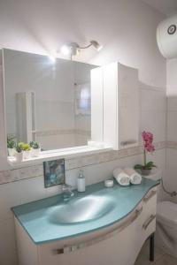 卡兰巴卡Villa Nefeli的一间带水槽、镜子和卫生间的浴室