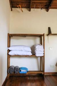 圣卡洛斯-德巴里洛切Casa Moderna entre Coihues的一套毛巾放在一个房间里架子上