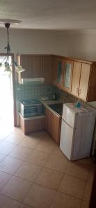 朗戈斯Soustas Apartments的厨房配有木制橱柜和白色冰箱。
