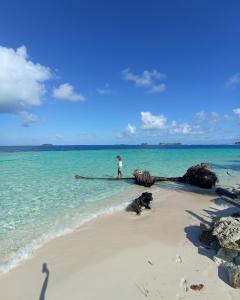 Achoertupohospedaje en las islas de San blas habitacion privado con baño compartido的站在海边的人