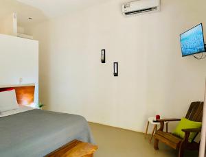 塔马林多Antema Lodge Secteur Tamarindo, piscine, yoga, gym, jungle et paix的一间卧室配有一张床,墙上配有电视