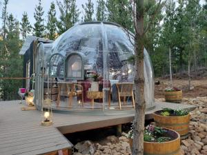 弗朗斯胡克The Franschhoek Stargazing Dome的木甲板上设有玻璃圆顶的房子