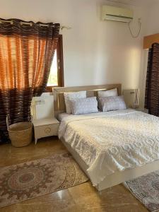 吉布提Haramous Guest House的一间卧室设有一张大床和一个窗户。