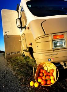 波尔蒂芒Rent a BlueClassics 's Campervan le Voyageur In Algarve au Portugal的卡车前方的一篮水果