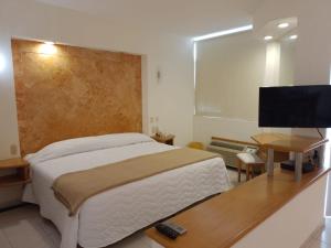 韦拉克鲁斯Angeles Suites & Hotel的一间卧室配有一张床和一台平面电视