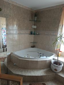 苏瓦乌基Apartament Suwalski Zakątek的带浴缸的浴室,种植了盆栽植物