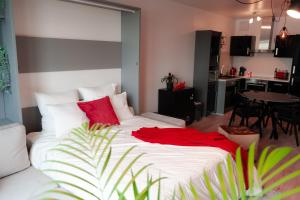 阿尔泽特河畔埃施Industrial Apartment in Belval the University City的一间卧室配有一张带红色枕头的大床