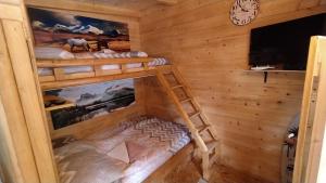 采蒂涅Still cabin的客房设有两张双层床和电视。