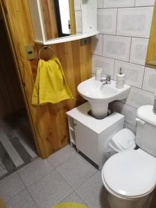 比亚里卡Cabaña Dos Ríos的浴室配有白色卫生间和盥洗盆。