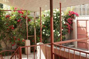 埃里温Styopa Hotel的墙上的阳台装有红色和白色的鲜花