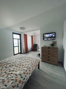 BerteaViiLa TO的一间卧室配有一张床、梳妆台和电视。