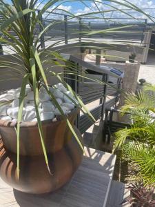 ShimwansaSerene & quiet 2- Bedroom Cottage Statelodge area的坐在甲板上大锅里的植物