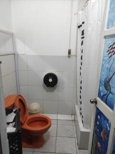 特鲁希略717 Pizarro guesthouse的一间带卫生间和淋浴的小浴室