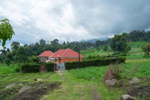 KisoroNtebeko Homestay的田野上红色屋顶的房子
