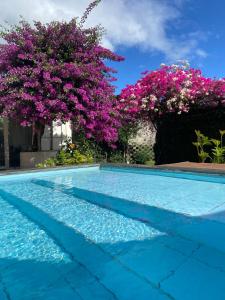 波来古市Homestay Papa garden的蓝色的游泳池,种有紫色的树木和粉红色的鲜花