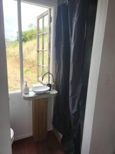 贝林真Bellingen Hideaway Tiny Home- Breathe. Discover. Renew.的一间带水槽和窗户的浴室