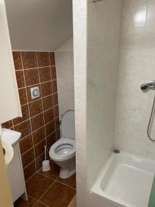 马汀Izba MARTINA v Penzione pod Smrekom的浴室配有卫生间、盥洗盆和浴缸。