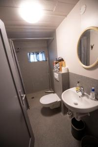 布伦迪欧斯Húnaver Guesthouse的一间带水槽、卫生间和镜子的浴室