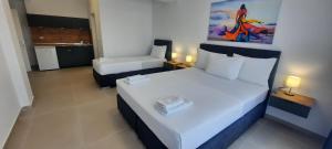 奥赫里德Apartments Mite的酒店客房带两张床和厨房