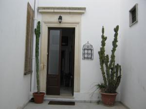 诺沃利B&B A casa delle zie的走廊上设有门和两株精密植物