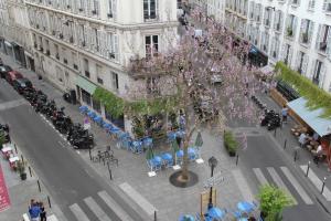 巴黎皇家芒萨尔酒店的城市街道上树木的景色