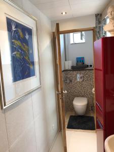 米卢斯King size lounge 76m2 de confort au centre ville的一间带卫生间的浴室和墙上的照片