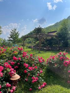 马尔扎博托基耶萨伊格那诺 1778酒店的一座种有粉红色花卉和木凉棚的花园