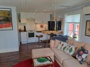 诺拉Hejdbacken的带沙发的客厅和厨房