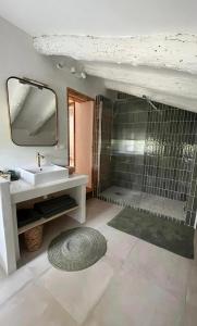 ConqueyracDomaine de Bonelli的浴室配有盥洗盆和带镜子的淋浴
