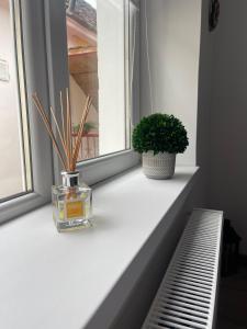 布拉索夫Maple Lodge Apartments的装有一瓶香水和植物的窗台