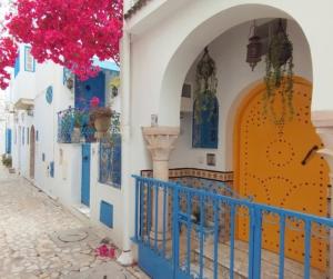 西迪·布·赛义德Coup de cœur à Sidi Bou Said的一条布西塔诺的街道,有蓝色和白色的建筑
