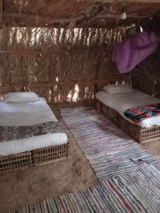 锡瓦Forest Camp Siwa - كامب الغابة的稻草小屋内的两张床,铺着地毯
