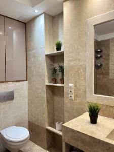 布达佩斯Sunny/stylish rooftop home/private balcony shared jacuzzi的浴室设有卫生间和植物水槽。