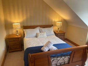 戈尔韦Cosy Rooms in a Stone Cottage的一间卧室配有一张带2个床头柜和2盏灯的床。