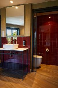 马德里LATROUPE Prado Hostel的浴室设有水槽、卫生间和红色瓷砖。
