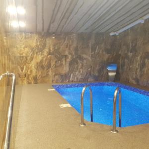 里加Maza Kalna 27的一个带岩石墙的房间的游泳池