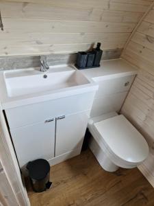 ScourieTighlochan pods的一间带水槽和卫生间的小浴室