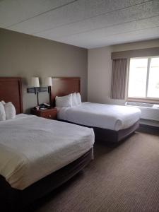 雷德温雷德温埃梅里克酒店的酒店客房设有两张床和窗户。