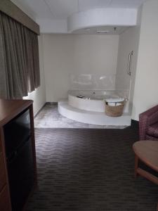雷德温雷德温埃梅里克酒店的一间位于客房角落的带浴缸的客房