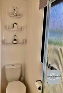 英戈尔德梅尔斯Skegness - Ingoldmells Caravan Hire的一间带卫生间和淋浴及窗户的浴室