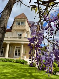 蒂格雷Casa Villa Julia的前面有紫色花的房屋