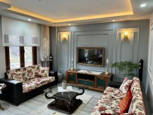 特拉布宗Greenland Villa Premium 61的带沙发和电视的客厅